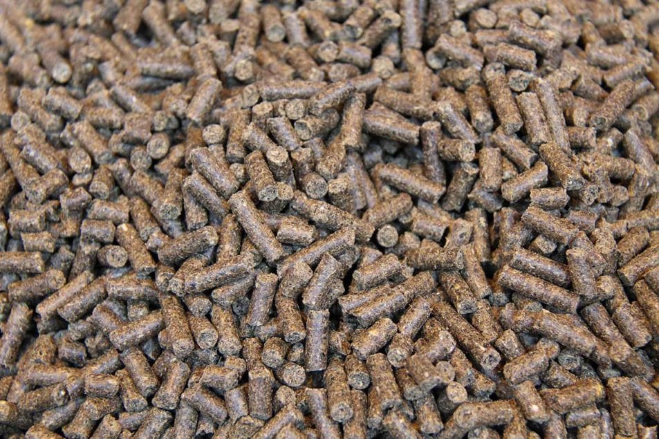 كسب عباد الشمس